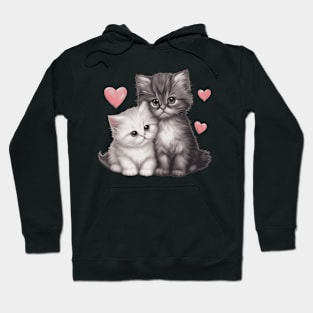 Cute Persian Kitten Hoodie